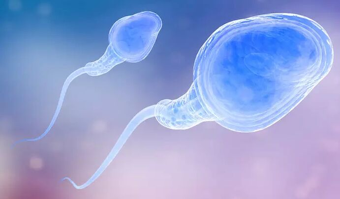 Spermatozoa can be present in a man's pre-ejaculate