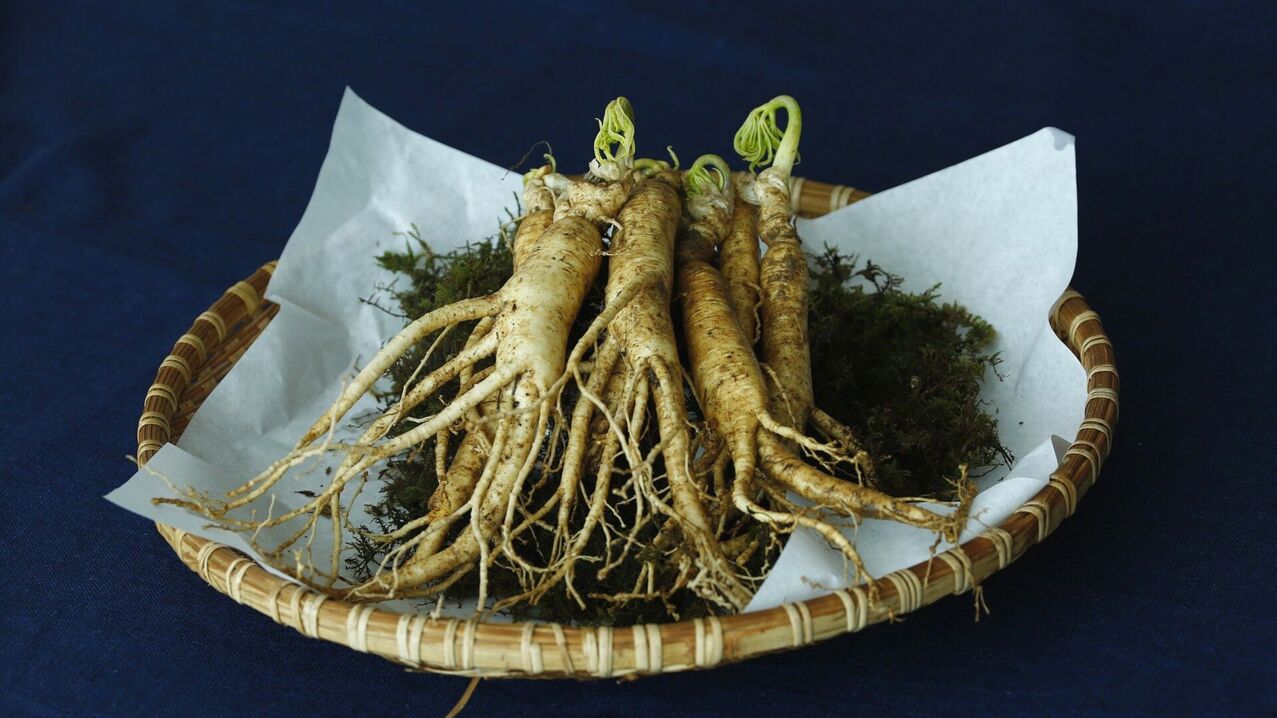 Ginseng root for increasing potency